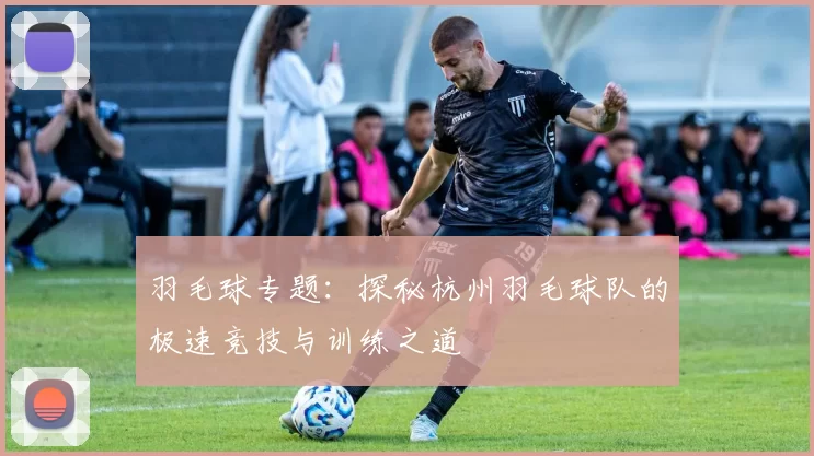羽毛球专题：探秘杭州羽毛球队的极速竞技与训练之道