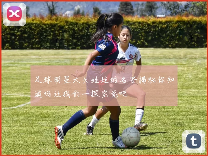 足球明星大头娃娃的名字揭秘你知道吗让我们一探究竟吧