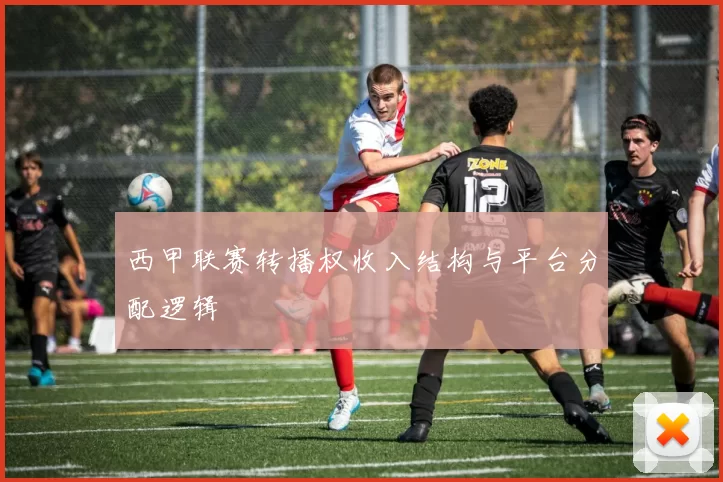 西甲联赛转播权收入结构与平台分配逻辑