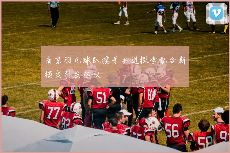 南京羽毛球队携手共进探索配合新模式引发热议