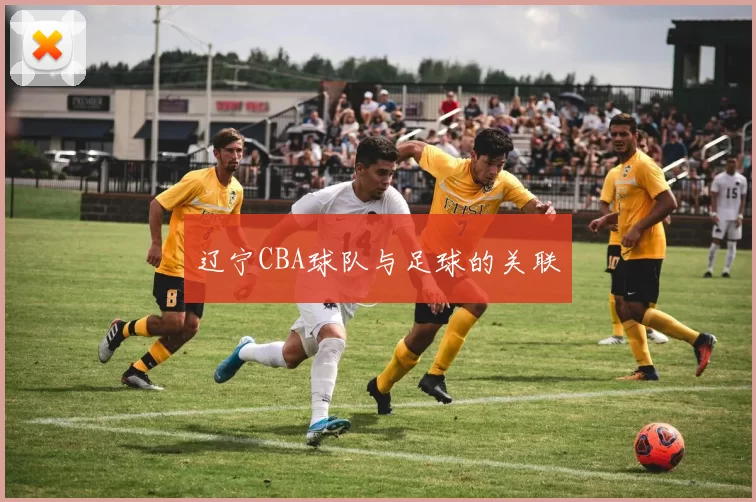 辽宁CBA球队与足球的关联